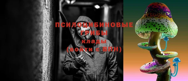 ПСИЛОЦИБИНОВЫЕ ГРИБЫ Козельск